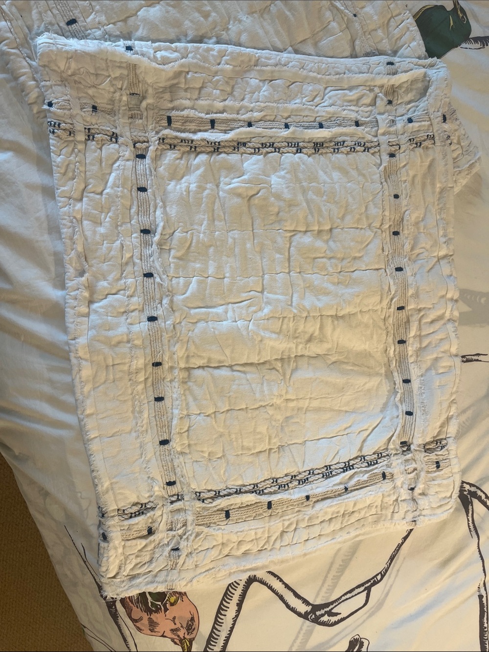Anthropologie pillow 2 shams